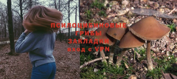 тгк Беломорск