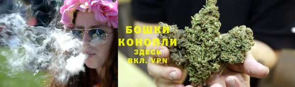дурь Белокуриха