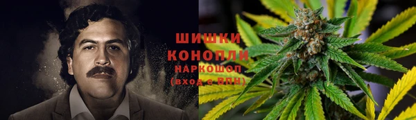 дурь Белокуриха