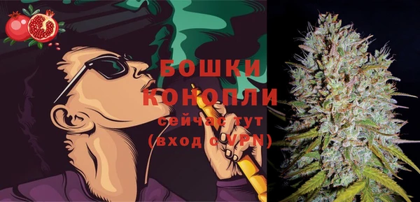 дурь Белокуриха