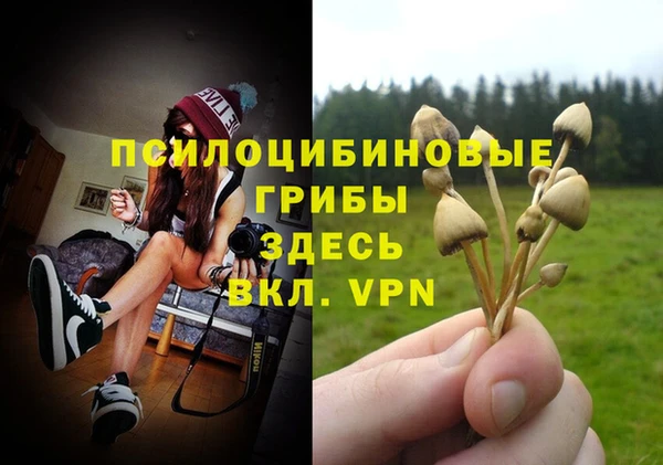 дурь Белокуриха