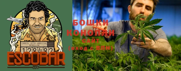 дурь Белокуриха