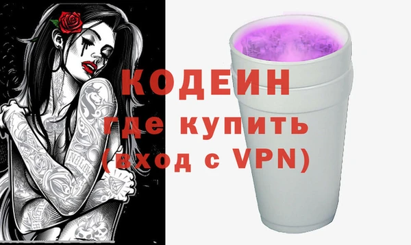 прущие грибы Чекалин