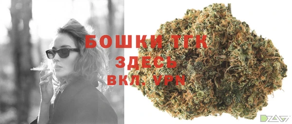 эйфоретик Фурманов