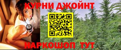 бошки Тверь