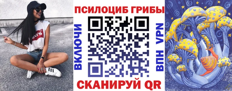 где продают наркотики  Белая Калитва  Галлюциногенные грибы GOLDEN TEACHER 