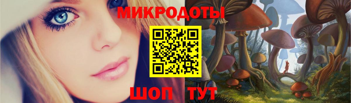 Галлюциногенные грибы Psilocybine cubensis Белая Калитва